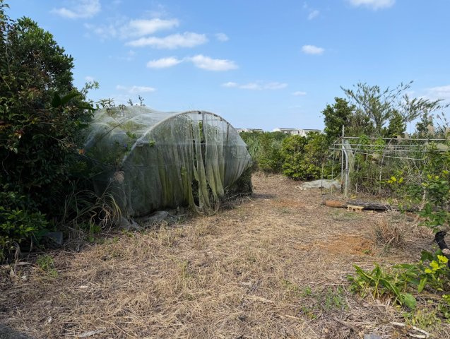 城辺字長間マンゴー農園付き売り土地の外観