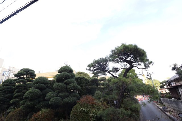 グレースコーポ湯の坂の展望