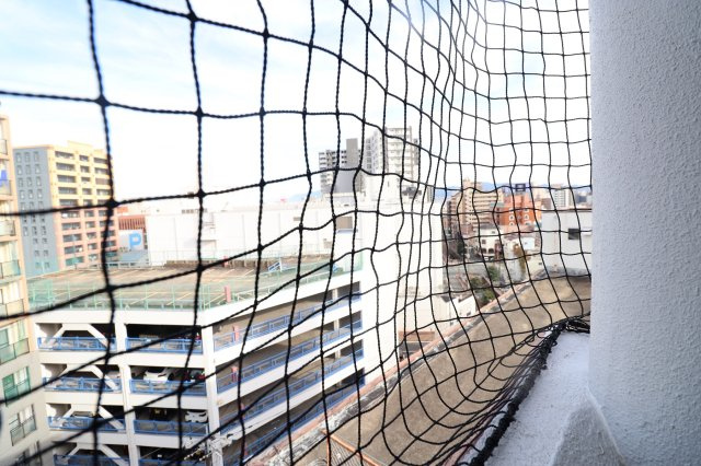 ローズガーデンⅠの展望