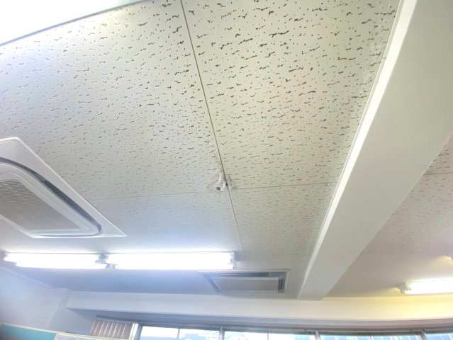 第三新安城ビルの内装