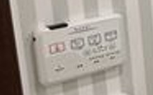 【その他】 | ゆとりのウエストミモザ