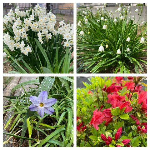 三郷市　戸ケ崎　売地の外観|外観です