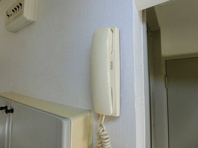 【セキュリティ】 | パナハイツ