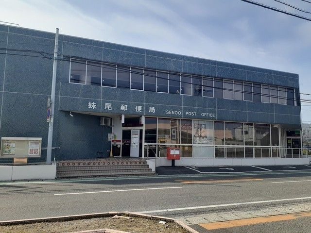 シャンスのその他