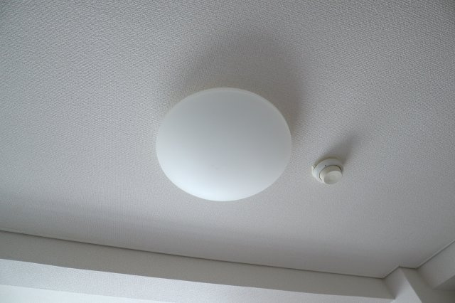 ホリディビルのその他