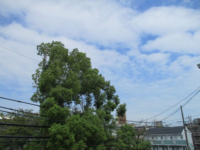 ROROつゆはし|名古屋市の賃貸ならMy賃貸の展望|ROROつゆはし