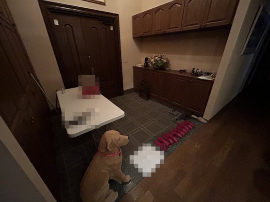 【玄関】 | 天城高原別荘地　戸建