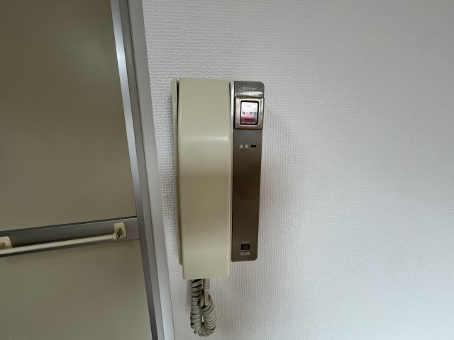 セントポーリアのセキュリティ