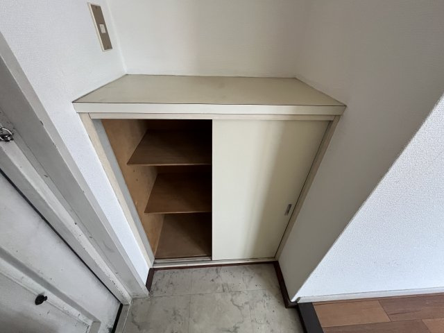 セントポーリアの収納