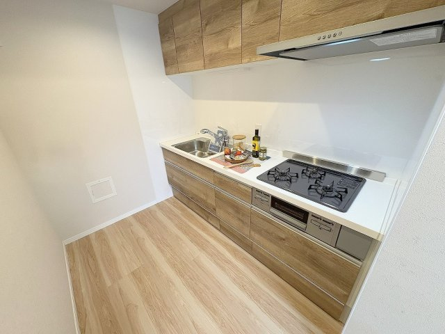 藤和シティシティコープ三郷の外観|現地の写真になります。