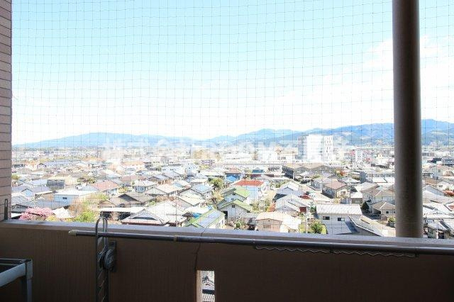 マグノリア・コートの展望