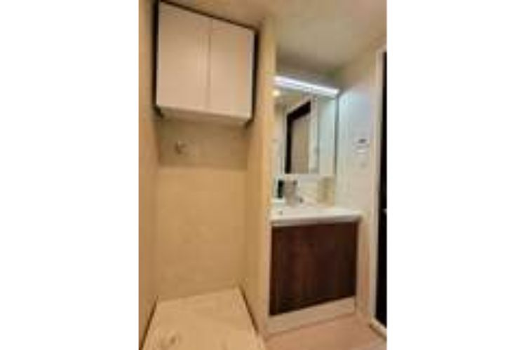 エスカイア高田馬場の洗面所