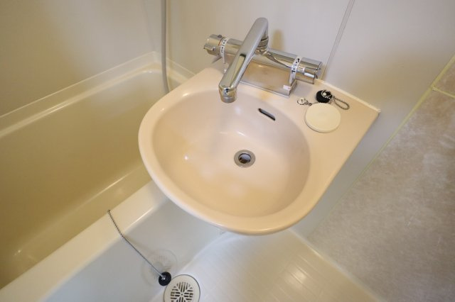 ファミール聖和の洗面所