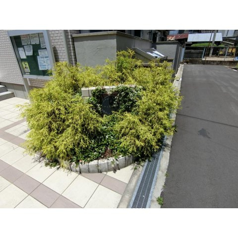 ウィステリアのエントランス