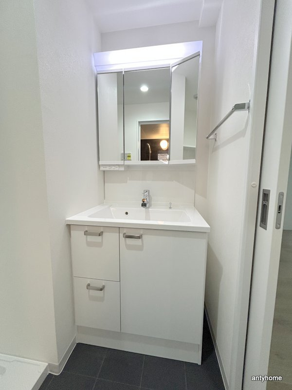 エス.フィールド奏　仲介手数料無料の洗面所