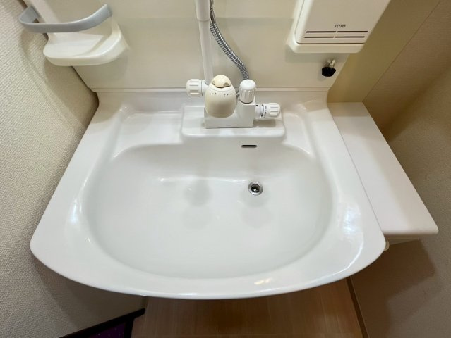 天理二階堂パーク・ホームズの洗面所