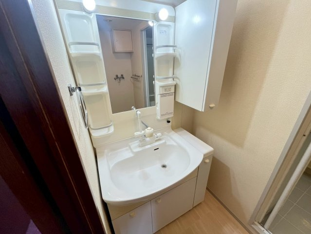 天理二階堂パーク・ホームズの洗面所