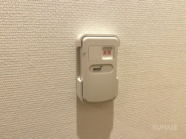 リブリ・フェリスのセキュリティ