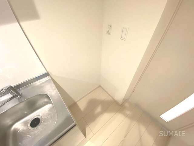 リブリ・フェリスのその他