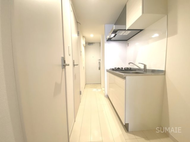 リブリ・フェリスのその他