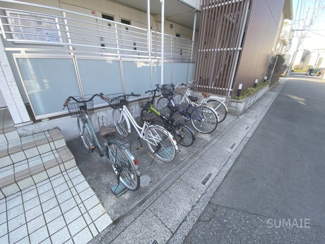 リブリ・フェリスのその他