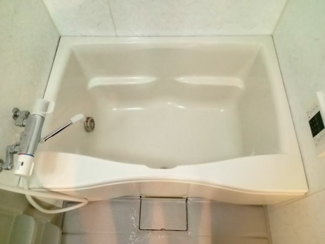 川崎市多摩区菅５丁目の賃貸マンションの浴室