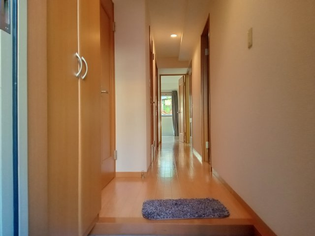 川崎市多摩区菅５丁目の賃貸マンションの内装