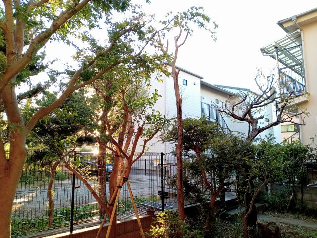 川崎市多摩区菅５丁目の賃貸マンションの展望