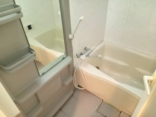 川崎市多摩区菅５丁目の賃貸マンションの浴室