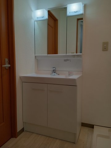 川崎市多摩区菅５丁目の賃貸マンションの洗面所