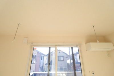 【その他】 | Dog wood