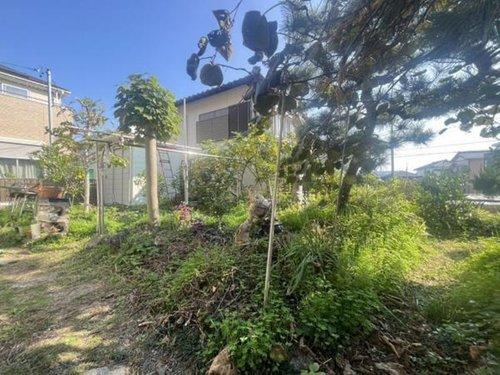 半田市美原町1丁目の庭|お庭　別角度☆