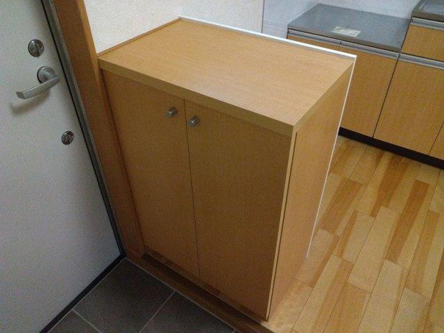 Mahoroba house Bの玄関