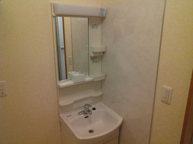 Mahoroba house Bの洗面所