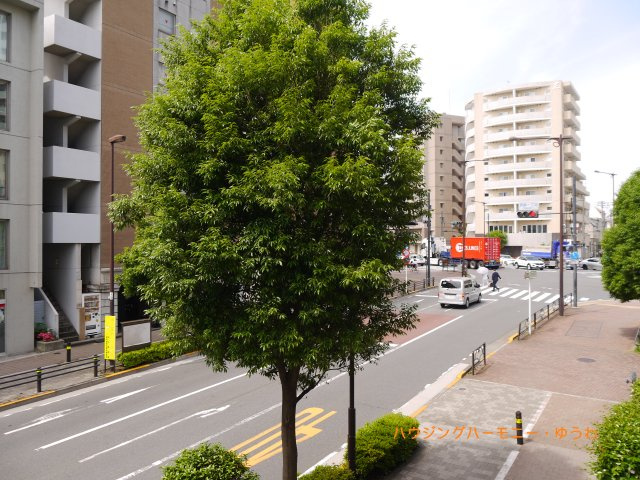 【展望】 | 菱和パレス立教大前