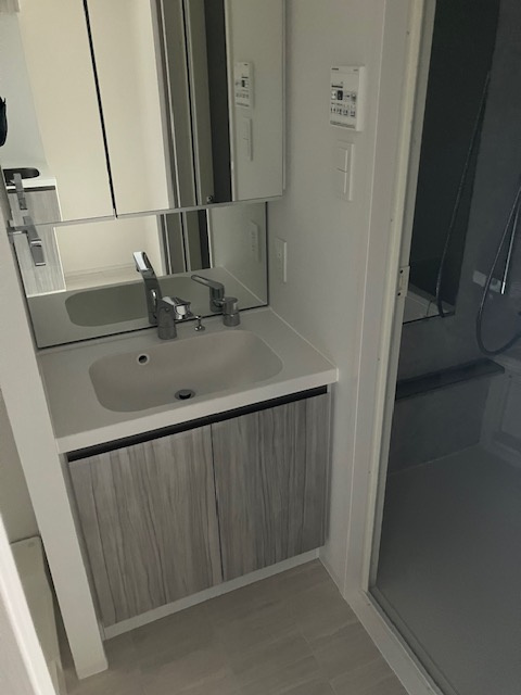 ＲＥＬＵＸＩＡ北赤羽の洗面所