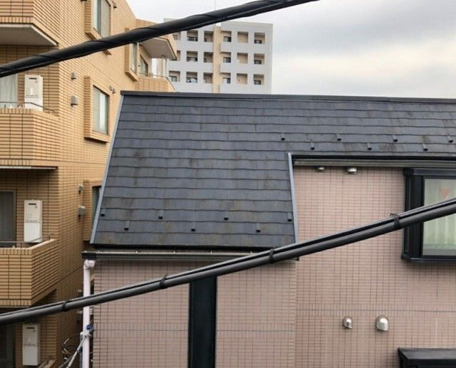 リベラルⅡ の展望