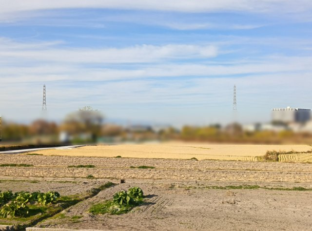堺市西区戸建の展望|西側は、一面は開放感があります