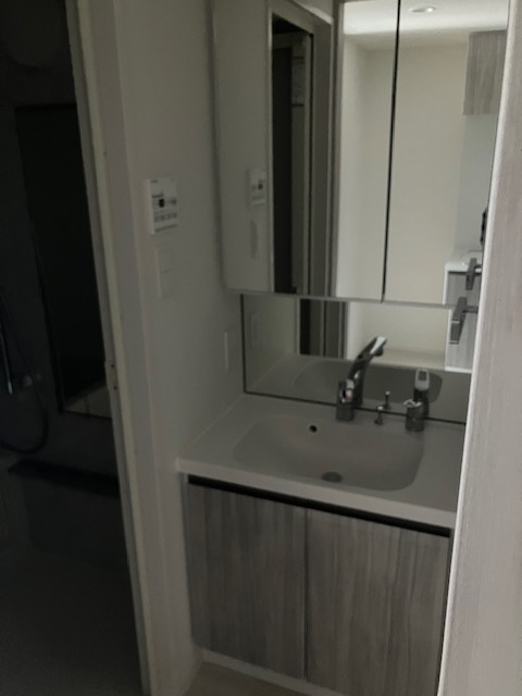 ＲＥＬＵＸＩＡ北赤羽の洗面所