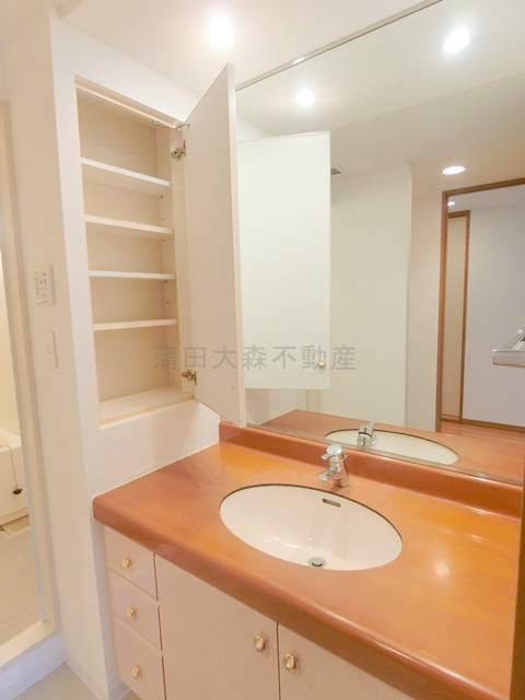 多摩川パークホームズの洗面所