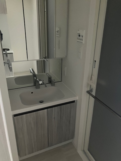 ＲＥＬＵＸＩＡ北赤羽の洗面所