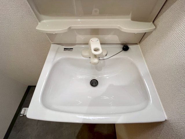 ドム　シャインの洗面所