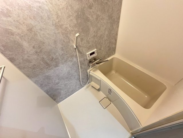 ドム　シャインの浴室