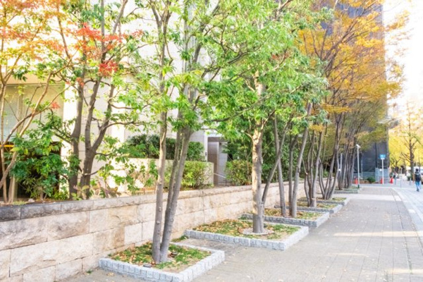 【周辺】 | 【周辺】マンション周辺は歩道状の公開空地となっており、きれいに整備されております！