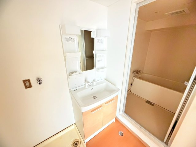 矢追マンションの洗面所