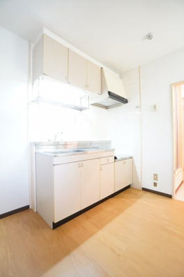 【キッチン】 | エクセレントわらび | ※同物件・反転タイプの写真です。