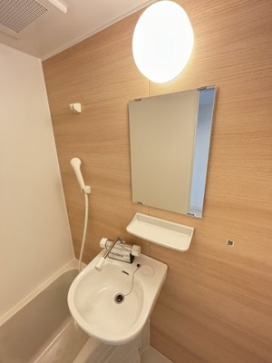 【洗面所】 | グランドーム国際