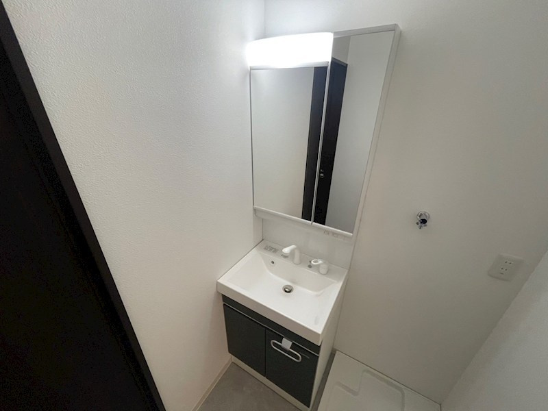 メゾンリュミエールの洗面所