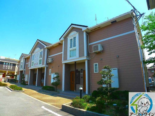 コモドジラソーレ