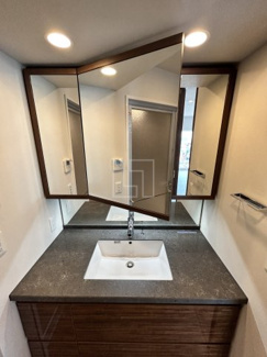 【独立洗面台】 | プレミストタワー靭本町 | プレミストタワー靭本町　独立洗面化粧台